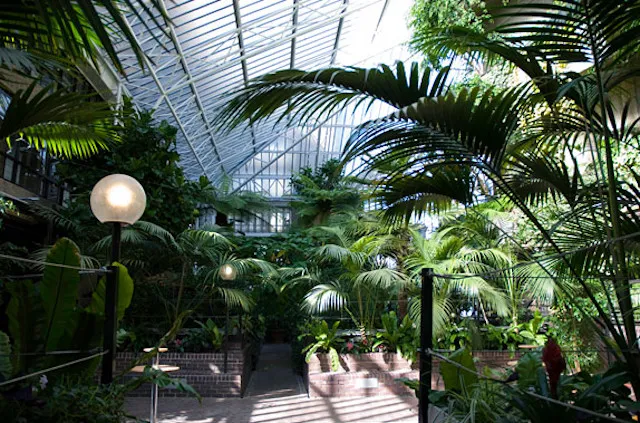 Barbican Conservatory London