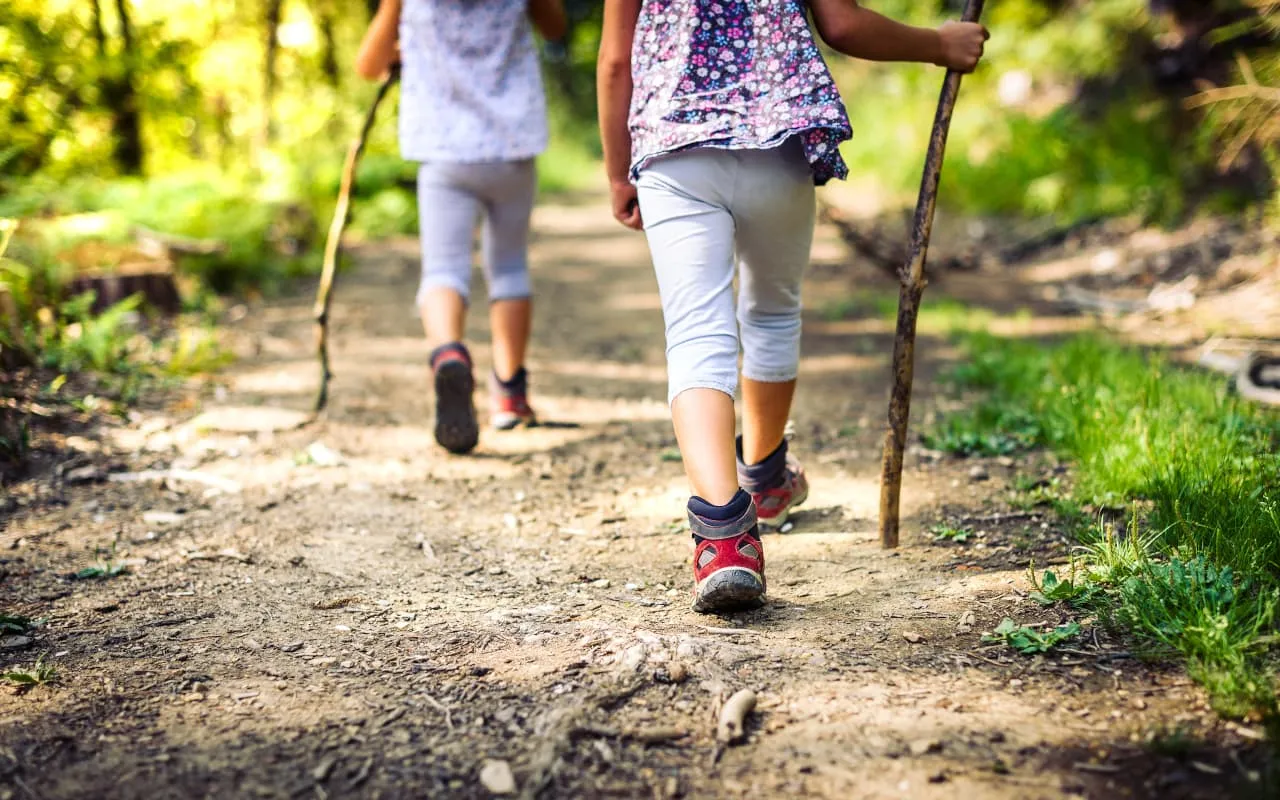Children exploring woodland trail