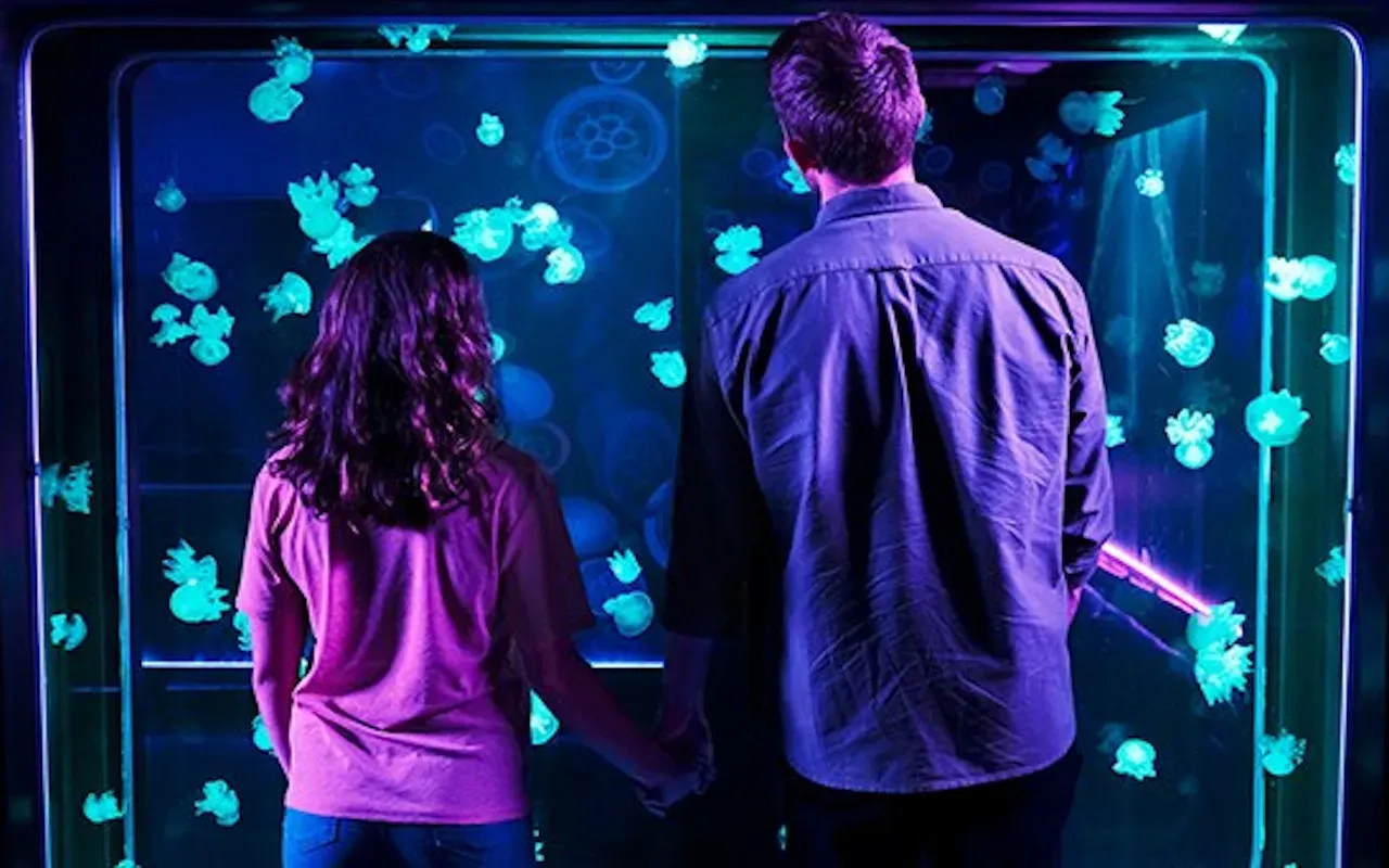 Sea Life London Aquarium