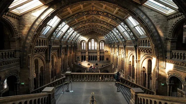 The interior of the Natural History Museum in London