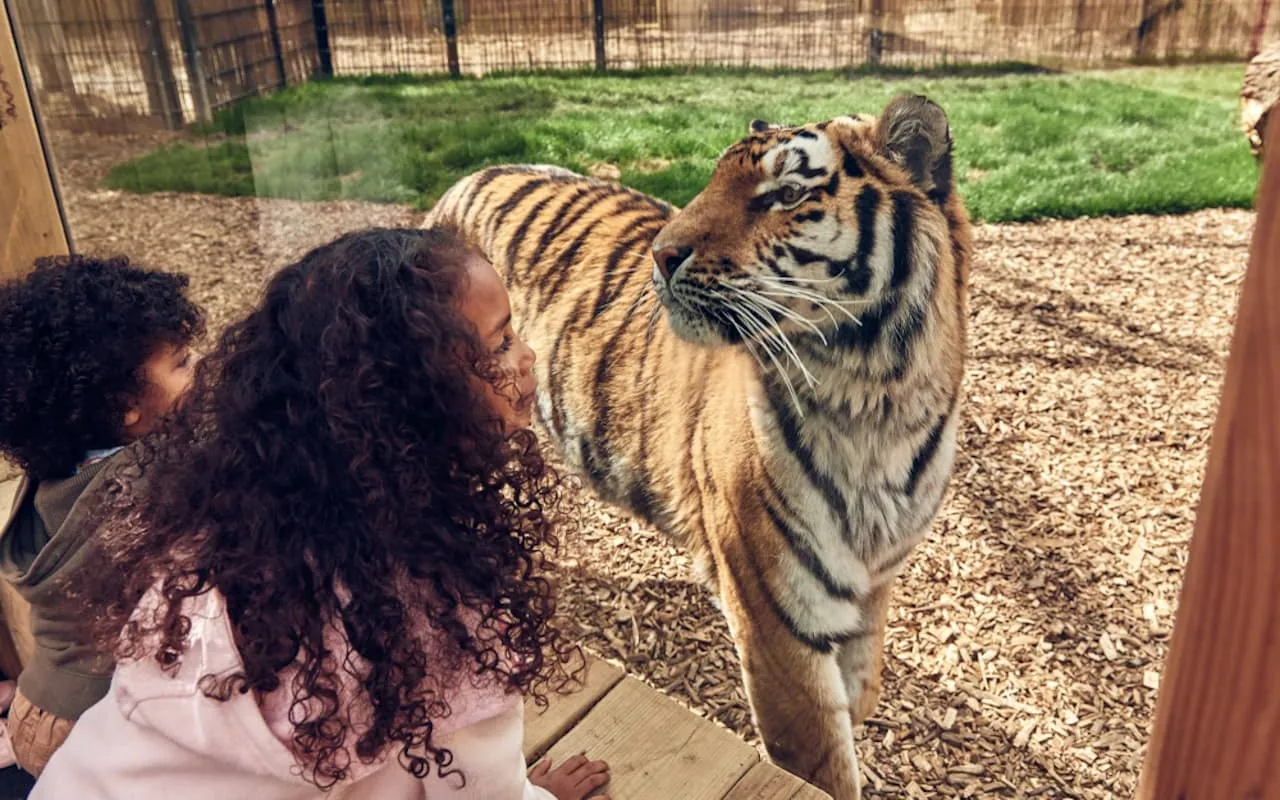 Chessington World of Adventures Resort